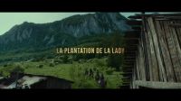 Lady's Plantation