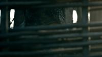 Lagertha!
