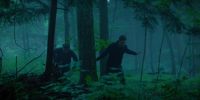 (leaves rustling)