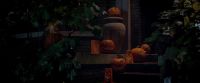 [ Leaves rustling ]