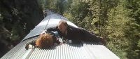 Let's go! - I can't move! I'm afraid!
