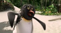 Long smooth strokesDig deep Dig come on I'm diggingKeep the nose up Keep it up Watch it You're pearlingWhat are you doing Come on pleaseZ I can't learn anything with you on the beachWell then you're