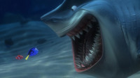 Dolphins Yeah They think they're so cuteLook at me I'm a flippin' little dolphinLet me flip for you Ain't I something