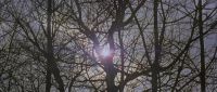 Look at the rays