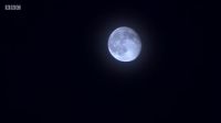 Look, it's a full moon