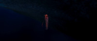 Ls this the end