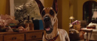 MARMADUKE Yeah yeah