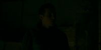 MAT: Shaun