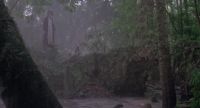 Matt?