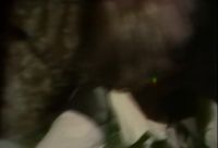 (Mina, distorted) Married