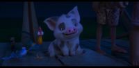 Moana... The ocean cannot help you here