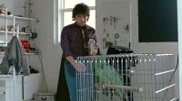 Morning, parrot