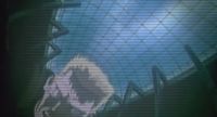 Motoko?!