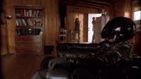 Move and we shoot!