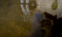 �� Muddy river