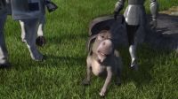 What'd I miss What'd I missWho said that Couldn't have been a donkey
