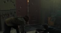 Muzzle discipline