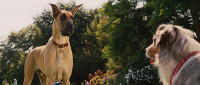 My name's Marmaduke