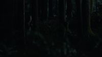 Myles? Myles, what happened? Where are they? Clarke and Finn, where are they? Grounders took them. T