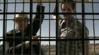 Never touch the cage