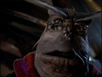 No, Rygel!