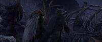 NOD: How do we know where to go?