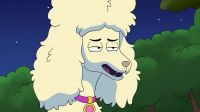Oh, Coyote