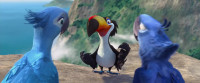 Okay l need you two to get closerCloserNiceNow put your wings around each otherWhat Come on amigolt's not like she's going to biteWill youWe'll see