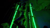 Okay, let's go dance