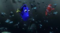 Oof! - Hey! - Dory!