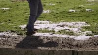 Over here!