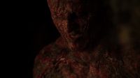 Pathogen level within subject now critical