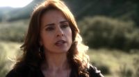 Perhaps you will have more use for it than I