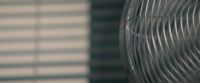 (PHOENIX SHRIEKS) (PANTS)