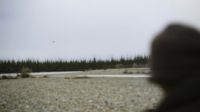 [ PLANE ENGINE BUZZING ]