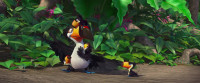 Precious aren't theyKids Seventeen of them and one on the wayHey He's not a maraca stop shaking himThey're giving me gray feathersThis papa needs a break