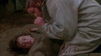 Pretty sweet