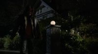 Professor Stein