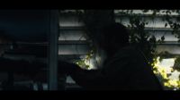 Project Midnight Sun