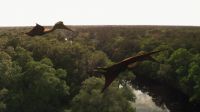 (pterosaur bellows)