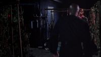 PULL UP THE ROPE
