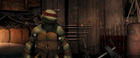 Raphael Kneel
