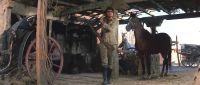 (rifles blasting)