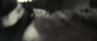 [roars]