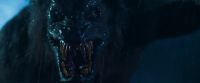 [roars]