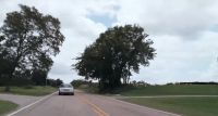 Roll down your window