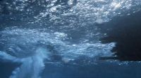 Rudder