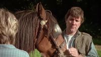 Same horse?