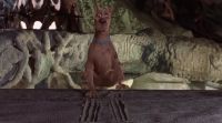 Shaggy!