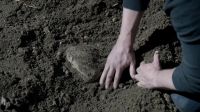 It's just a rock